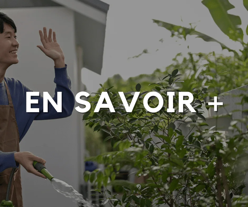 Comment préserver votre intimité au jardin ?