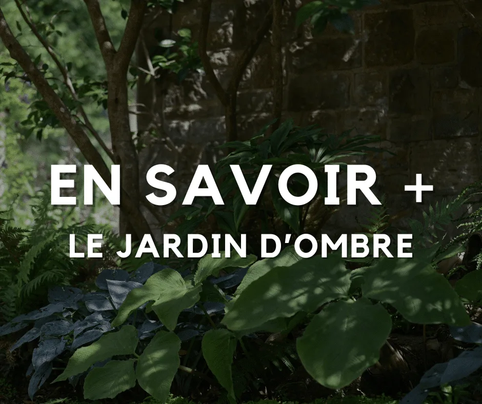 Le jardin d’ombre
