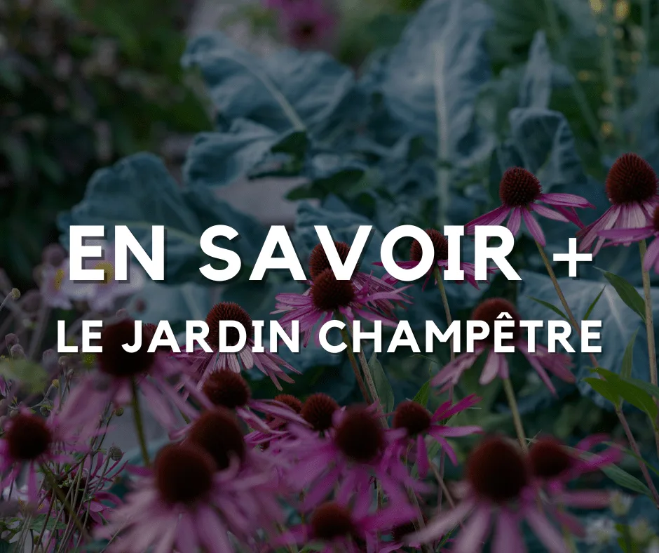 Le jardin champêtre