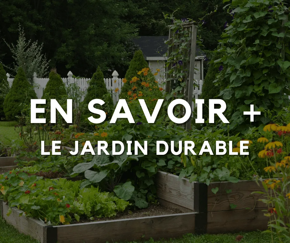 Le jardin durable