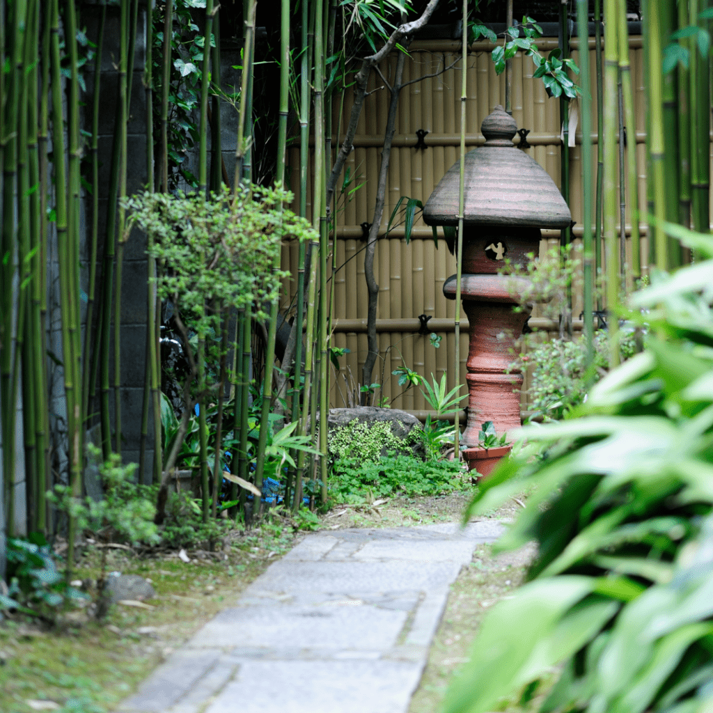 Jardin asiatique lille