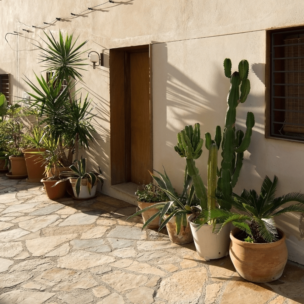 jardin méditerranéen