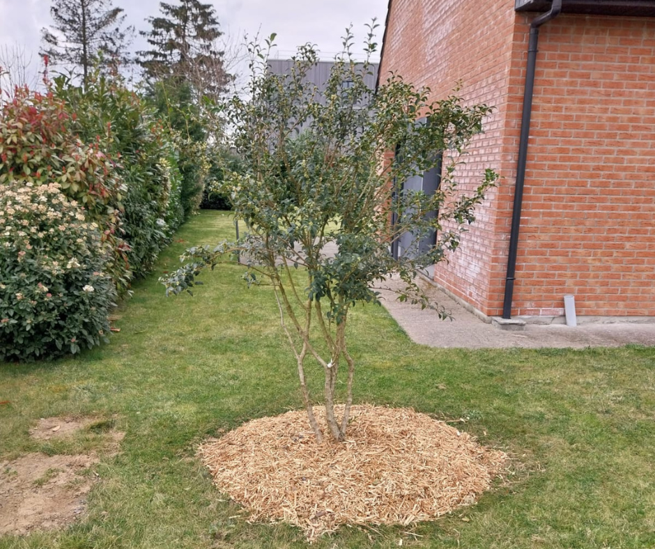 rénovation-et-aménagement-extérieur-cysoing