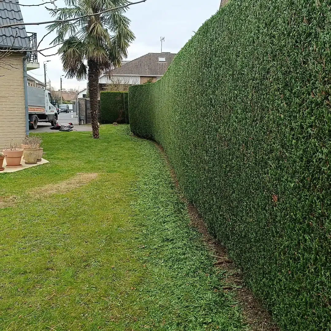 Entretien des espaces verts : tonte, taille des massifs et des haies