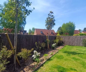 plantation paysagiste hem