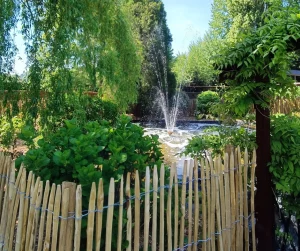 bassin paysagiste lille