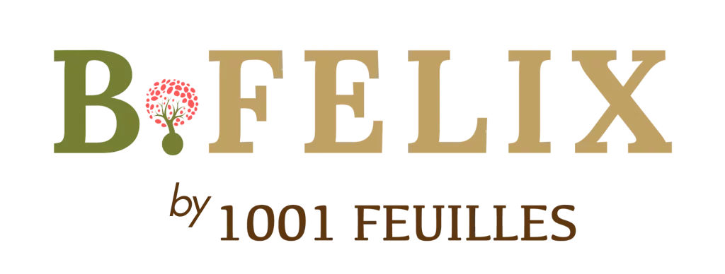 Paysagiste B Felix Ennevelin 1001 Feuilles