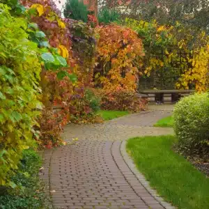 entretien jardin lille