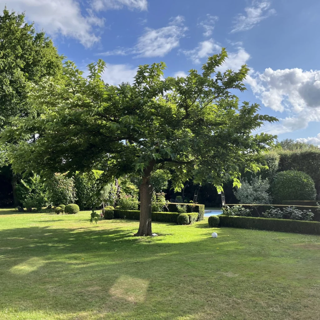 entretien jardin willems