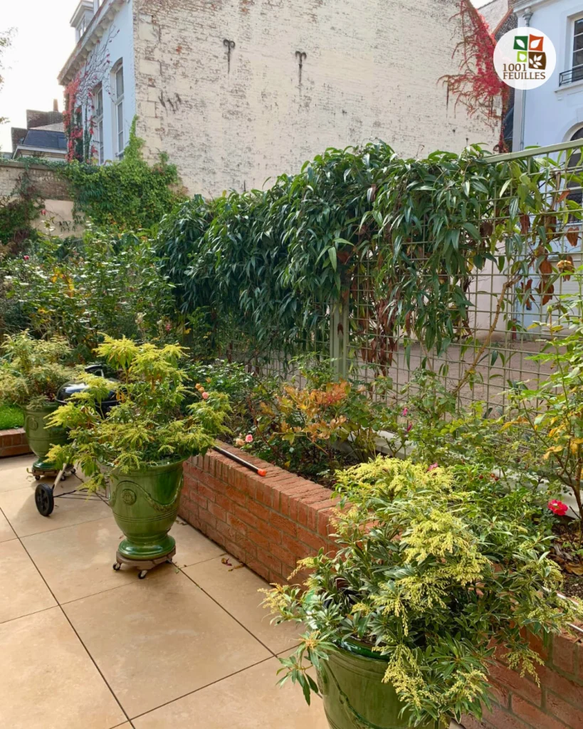 1001-Feuilles-paysagiste-willems