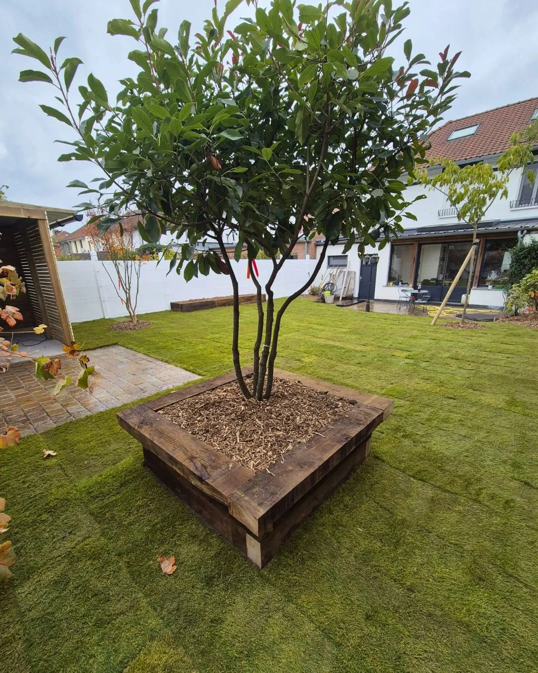 plantation-paysagiste-lille