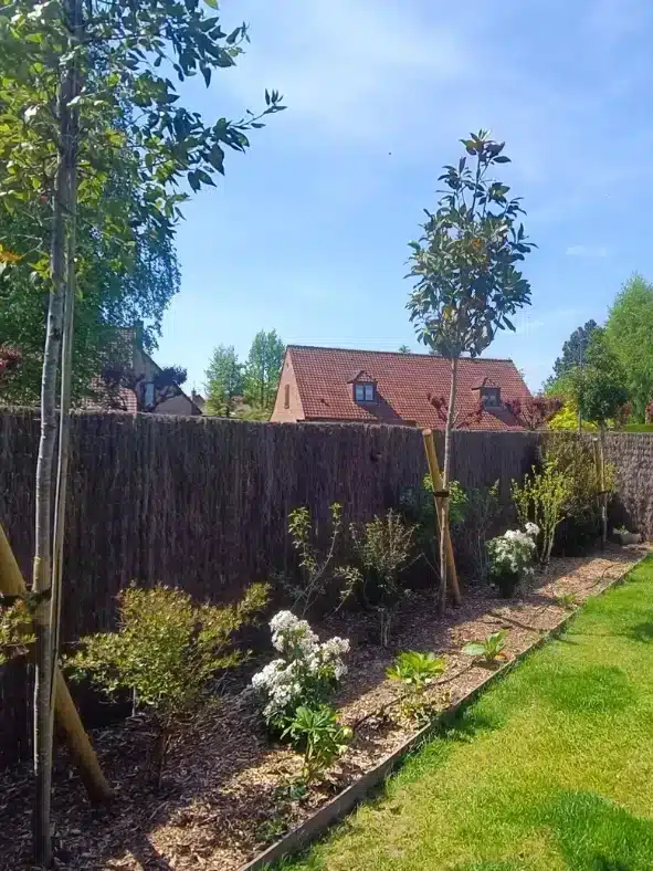 plantation paysagiste hem