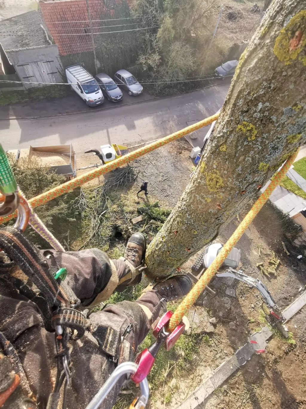 Démontage d'arbre près des habitations
