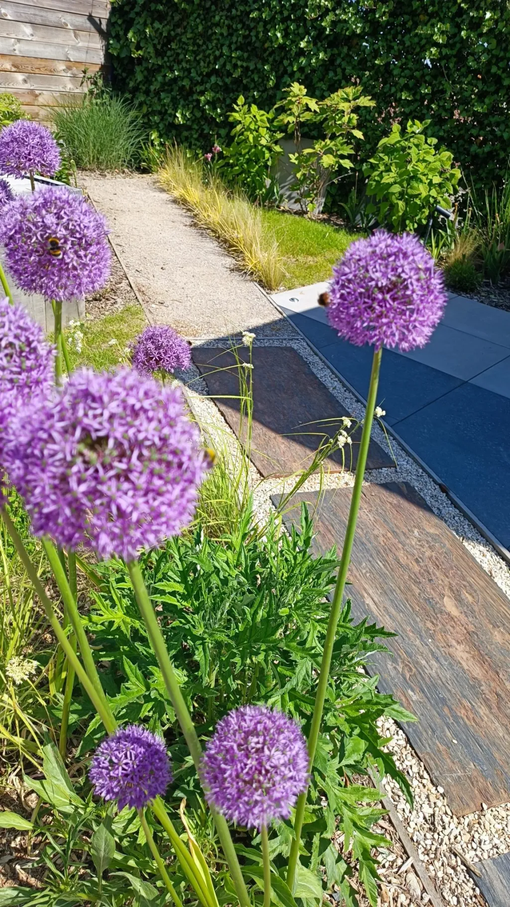 Notre jardin expo — photo 9