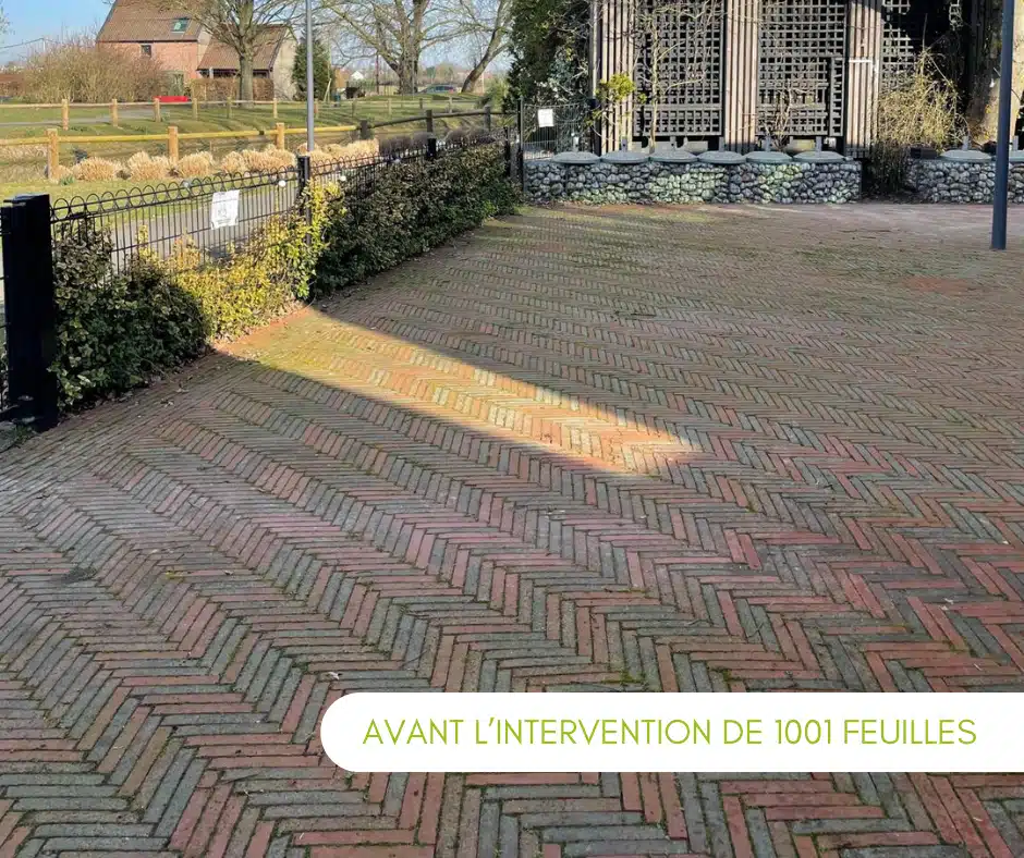 Nos nettoyages de terrasse à Lille — photo 3