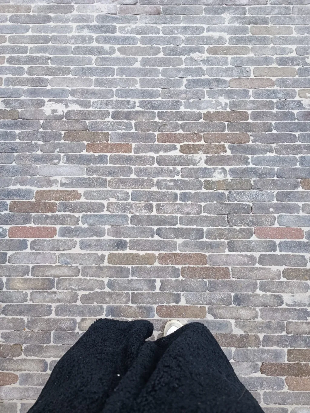 Nos pavages — photo 16