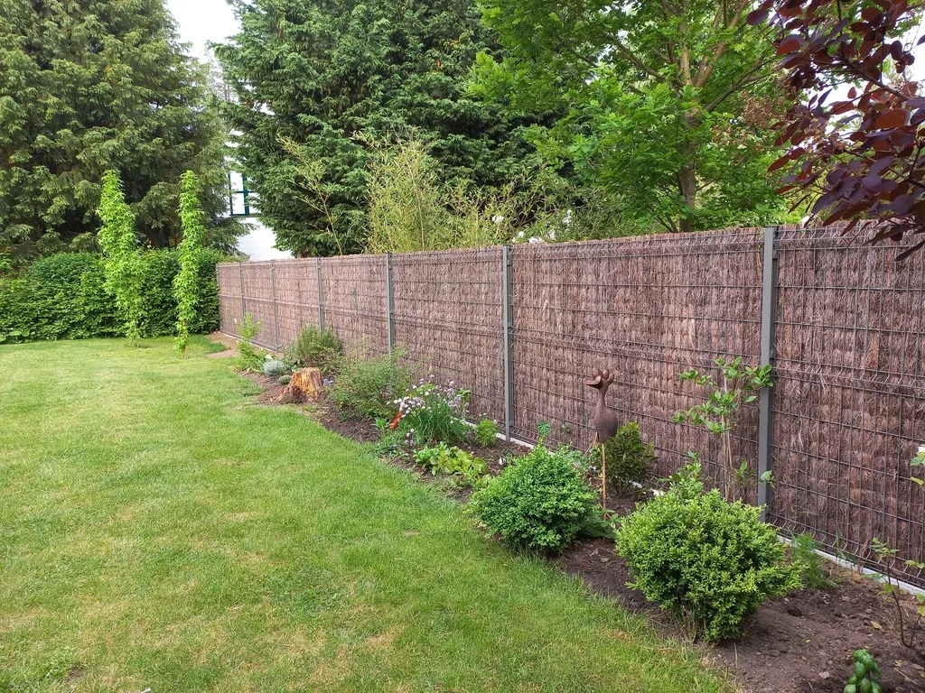 Nos massifs et plantations — photo 2
