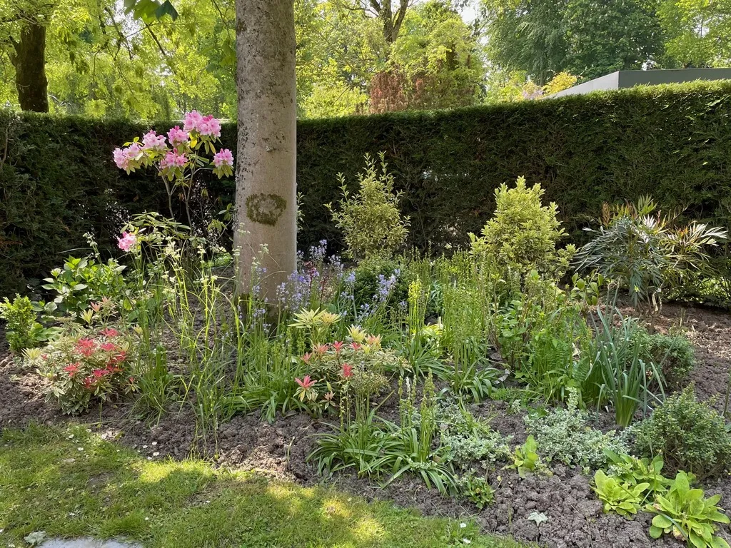 Nos massifs et plantations — photo 3